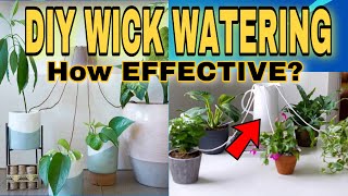 Homemade Wick Watering System for Potted Plants My Journey on How to Water Plants When on Vacation [upl. by Archy98]