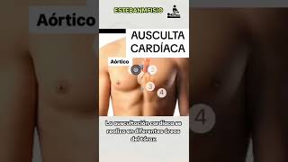 Auscultación cardíaca anatomia anatomiafacil cardio curiosidades medicina ciencia [upl. by Amo]