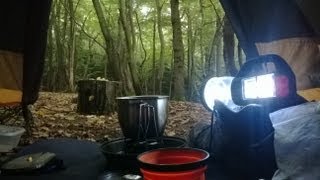 Deep wood wildcamping UK [upl. by Lebasi]