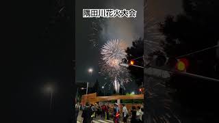 隅田川花火大会 Sumidagawa Fireworks Festival shorts short trending youtubeshorts fyp fireworks [upl. by Lema]