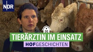 Hoffnung auf Nachwuchs Tierärztin kontrolliert die Kühe  Hofgeschichten Leben auf dem Land 309 [upl. by Naihr]