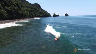 Surf con ballenas Jorobada Nuqui Cabo Corrientes  Choco Costa Pacifica Colombia [upl. by Enyawd]