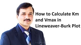 How to Calculate Km and Vmax using Lineweaver Burk Plot [upl. by Alahc]