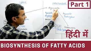 Fatty acid synthesis in Hindi  Part 1 [upl. by Ennywg524]