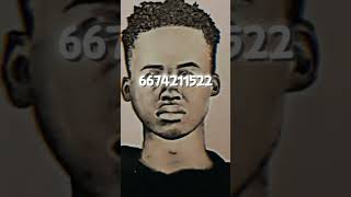 Tay k  Roblox id code [upl. by Amees400]