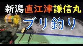 伝説となったブリ釣り 新潟 直江津 謙信丸 Yellowtail fishing has become a legend [upl. by Avehstab]