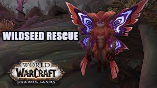 Wildseed Rescue Quest WoW [upl. by Aleyam]