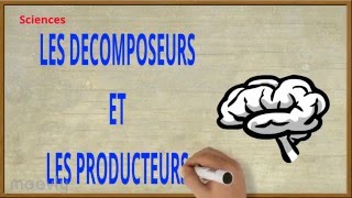 Les sciences  Les décomposeurs et les producteurs [upl. by Nnayllek]