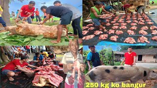 Traditional style pig 🐖 cutting in nepal 250kg wait pig bangur🐖 [upl. by Ahsek]