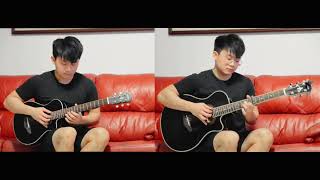 Elvis Presley Cant Help Falling In Love  HONMING guitar cover [upl. by Dickerson320]