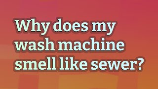 Why does my wash machine smell like sewer [upl. by Pangaro697]