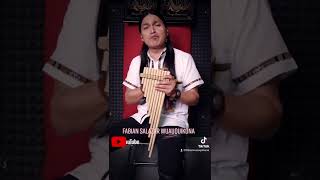 Beautiful Andean Music by FS wuauquikuna shorts andeanmusic panpipes peaceful relaxing [upl. by Menon830]