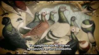 35 01 El genio de Charles DarwinRichard Dawkins La vida Darwin y todas las cosas  subtitulado [upl. by Aenel]