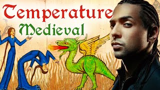 SEAN PAUL  TEMPERATURE  Medieval Bardcore Version [upl. by Kahaleel]