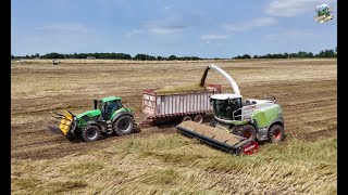 Chopping Triticale in Southwest Missouri [upl. by Natie]