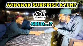 Zeeshan Bhai Visited AQ Cattle Farm  SOLD [upl. by Kilan]