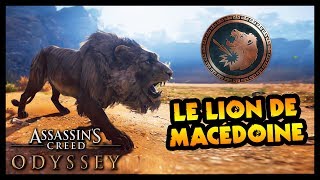 LE LION DE MACÉDOINE  TROPHÉE LION SOLITAIRE Assassins Creed Odyssey [upl. by Elbys]