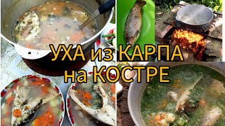 УХА В КАЗАНЕ НА КОСТРЕ 🔥 СУПЕР МЕГА ВКУСНОЕ БЛЮДО РЕЦЕПТ ОТ ШЕФПОВАРА [upl. by Erreipnaej149]