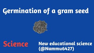 Germination of gram seed and their different partsNammu6427New educational science full video [upl. by Tronna]