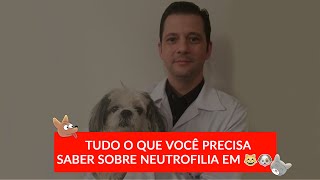 Leucocitose por neutrofilia em cães e gatos [upl. by Rogozen]