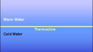 Don’t let The Summer Thermocline Intimidate You…3 Keys To Understanding It To Catch Hogs… [upl. by Kosiur862]