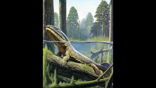 Eogyrinus Giant Carboniferous Amphibian [upl. by Nibor]