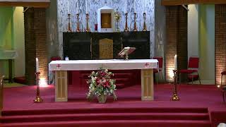 Mass for 9th July Tuesday of Week 14 in Ordinary Time [upl. by Dorsey]