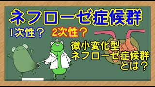 【管理栄養士】ネフローゼ症候群＋おまけ についての解説講座 [upl. by Schonfeld]