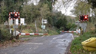 Gomshall Level Crossing [upl. by Mable7]