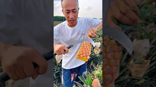 OMG 😱😋🍍usa fruit asmr [upl. by Knute]