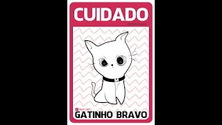 Adoção gato selvagemassustadoarisco [upl. by Eiznekcam]