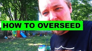 Fall Lawn Overseeding the Easy Way [upl. by Kirre]