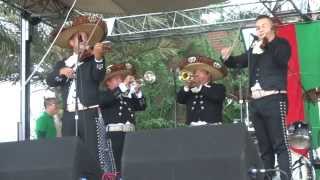 Mariachi Nuevo Guadalajara  Orlando FL 4078601136 [upl. by Itsirhc232]