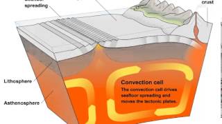 Convection Currents and Tectonic Plate Movement [upl. by Siuqram]