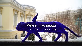 Pisica Albastră  The Blue Cat  Felix Aftene [upl. by Singh]