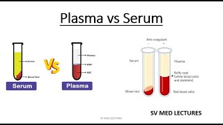 Plasma vs Serum [upl. by Ruelle]