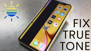 iPhone XR Teardown [upl. by Alieka]