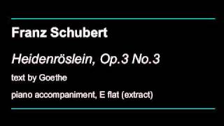 Schubert Heidenröslein Op3 No3 [upl. by Tiemroth786]