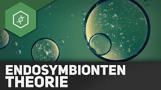 Endosymbiontentheorie [upl. by Rochella445]