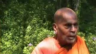 Bhante Gunaratana 6 What is right effort [upl. by Asilad]