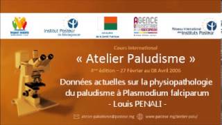 Données actuelles sur la physiopathologie du paludisme à Plasmodium falciparum  Louis PENALI [upl. by Abran]