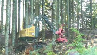 Cat® 532 Track Feller Buncher [upl. by Atinrev]