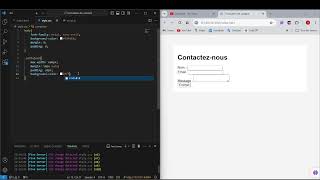 Exercice5 DOM  formulaire de contact  HTML CSS JavaScript [upl. by Adnaw]