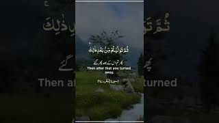 Than after that you turned away  Allah ka Quran ko share karo subcribe My chanel AliBro1114 [upl. by Alleira]