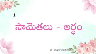 అర్థంతో కూడిన సామెతలు సామెతలు ద్వారా జీవితం అర్థం చేసుకోవడం By Telugu Grammar sametalu [upl. by Olra]