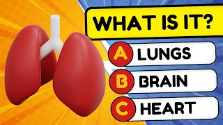 How Many Human Organs Can You Guess 🧠🦴🦵  General Knowledge Quiz [upl. by Gable]