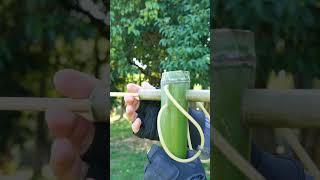 Nice SImple bambooshoot diy slingshot 4k bushcraft [upl. by Tenaej]