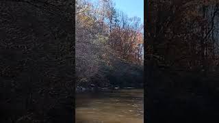 Peace and serenity on the Tallapoosa River [upl. by Hesther590]