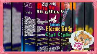 Cantante Hermelindo Cal Calel Vol01 [upl. by Nonek534]