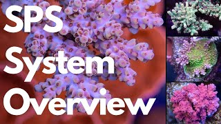 Aquamarine Aquaristic SPS System Overview and coral art giveaway [upl. by Eta]